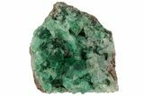 Highly Fluorescent, Green, Fluorite Cluster - Rogerley Mine #97879-1